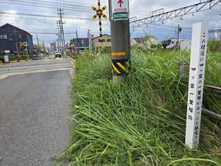 [写真]