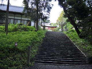 [写真]