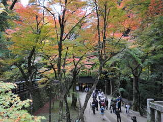 [写真]