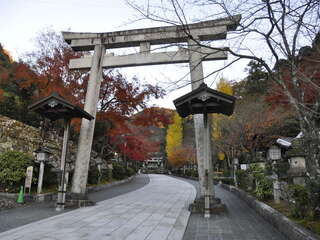 [写真]