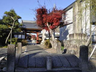 [写真]