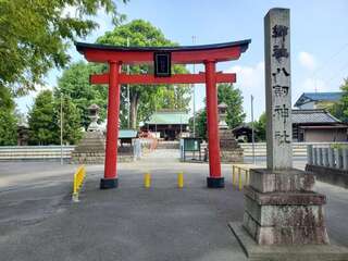 [写真]