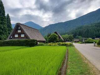 [写真]