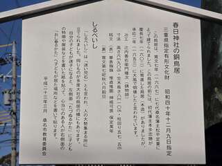 [写真]