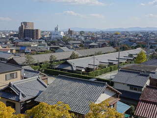 [写真]