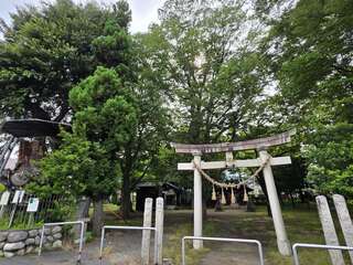 [写真]