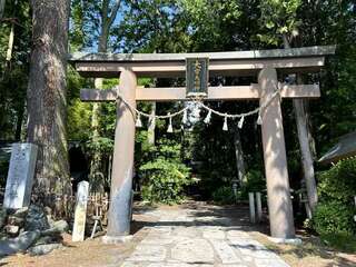 [写真]