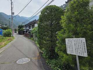 [写真]
