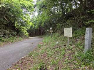 [写真]