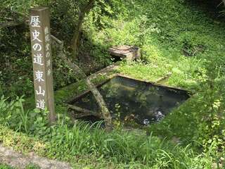 [写真]