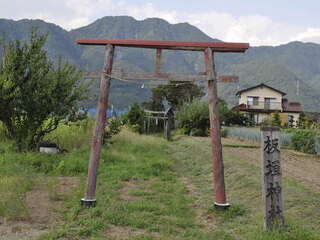 [写真]