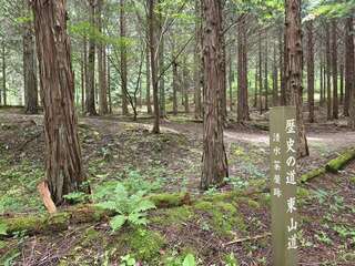 [写真]