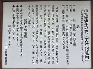 [写真]