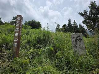 [写真]