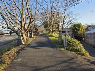 [写真]