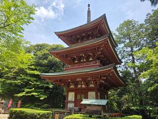 [写真]