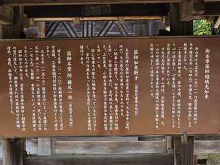 [写真]
