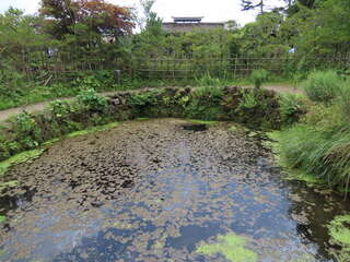 [写真]
