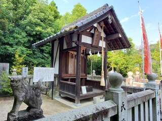 [写真]
