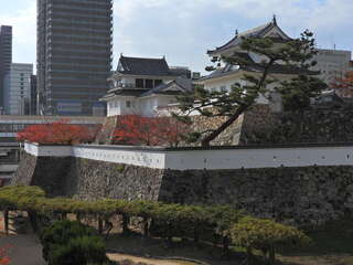 [写真]