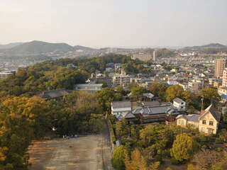 [写真]
