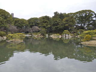 [写真]