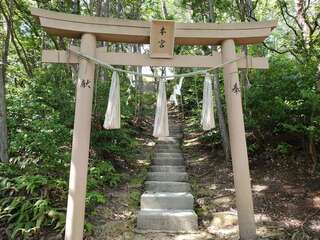[写真]