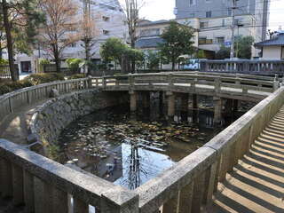 [写真]