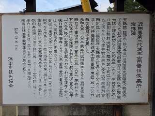 [写真]