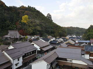 [写真]