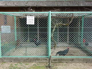 [写真]