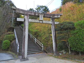 [写真]