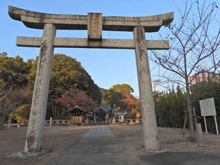 [写真]