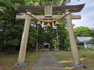 [写真]