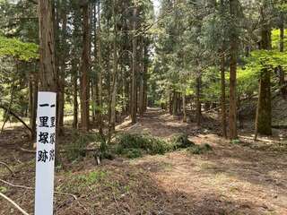 [写真]