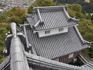 [写真]