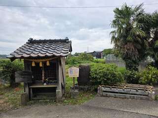 [写真]