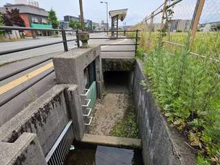 [写真]