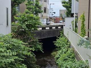 [写真]