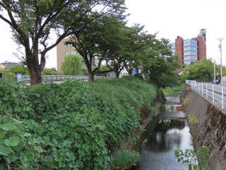 [写真]