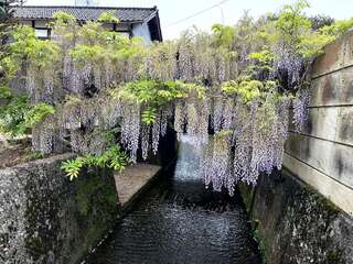 [写真]