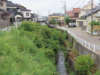 [写真]