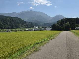 [写真]