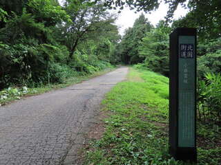 [写真]
