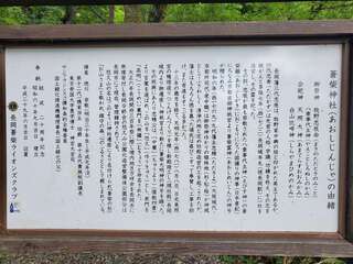 [写真]
