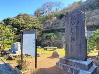 [写真]