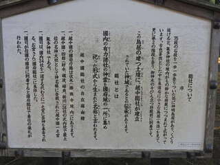 [写真]