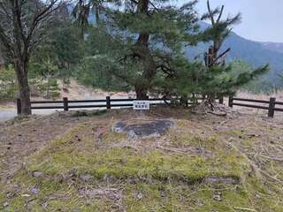 [写真]