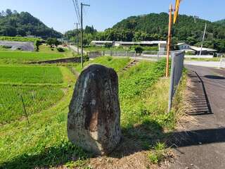 [写真]