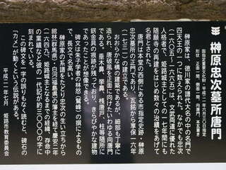[写真]
